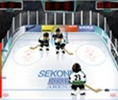 Play Ice Hockey Practice Game